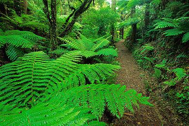 《二之国2：幽灵国度王子版》NS版速购特典公开 经典藏品